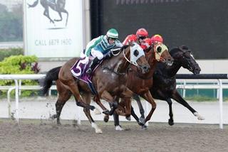 Infantry (NZ) Heads Karaka Quinella in Merlion Trophy. Photo: Singapore Turf Club.